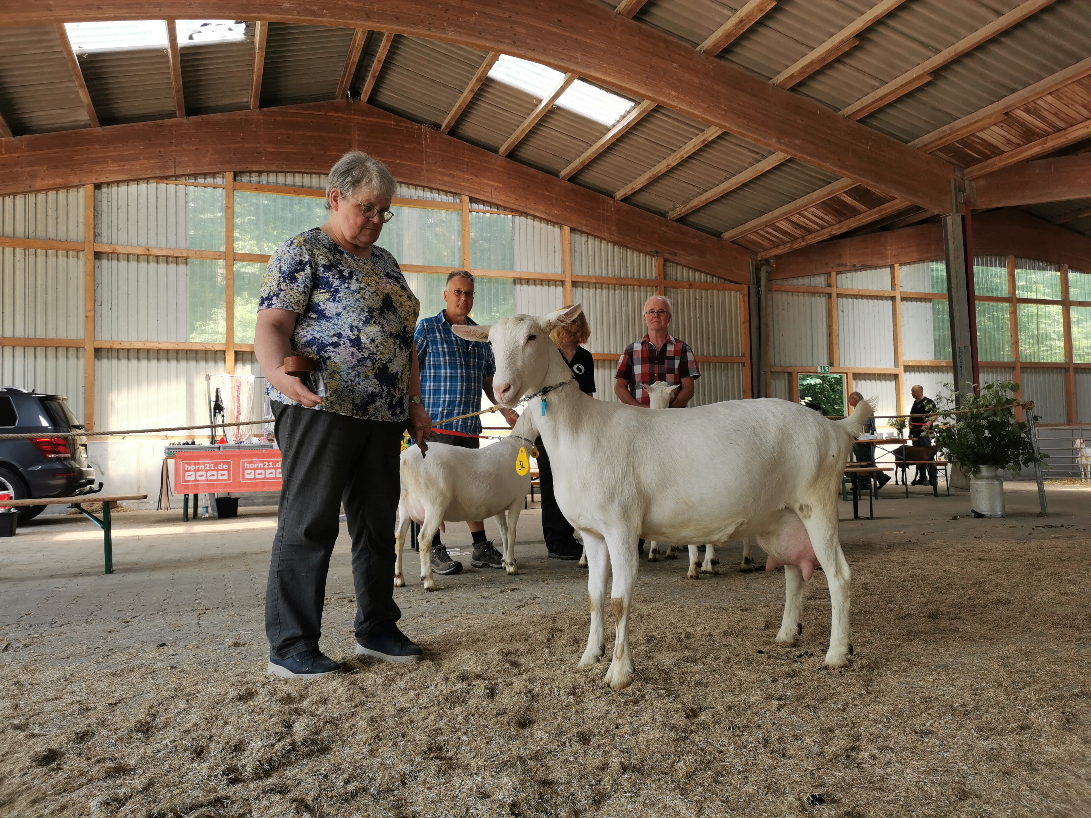 This image for Image Layouts addon